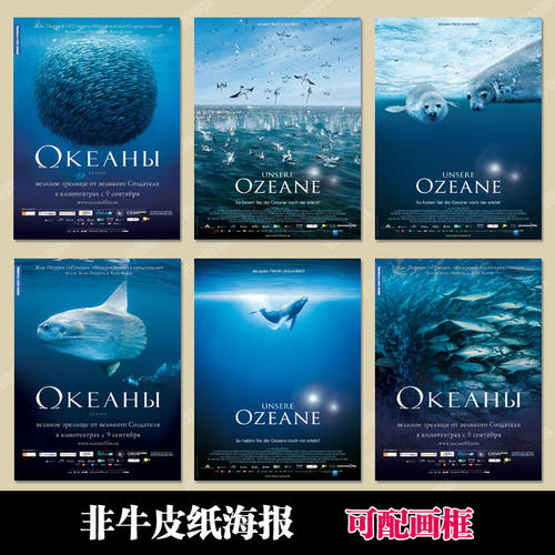 松本大学物理学文凭证书